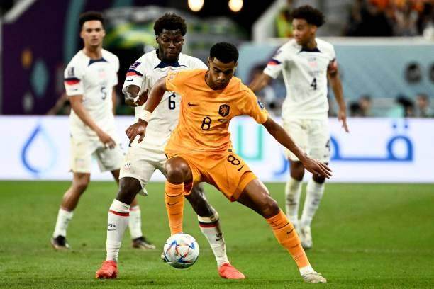 1670084943400089264.jpg 1245331172-612x612.jpg